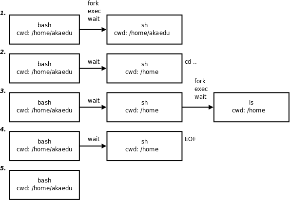 Shell 脚本的执行过程